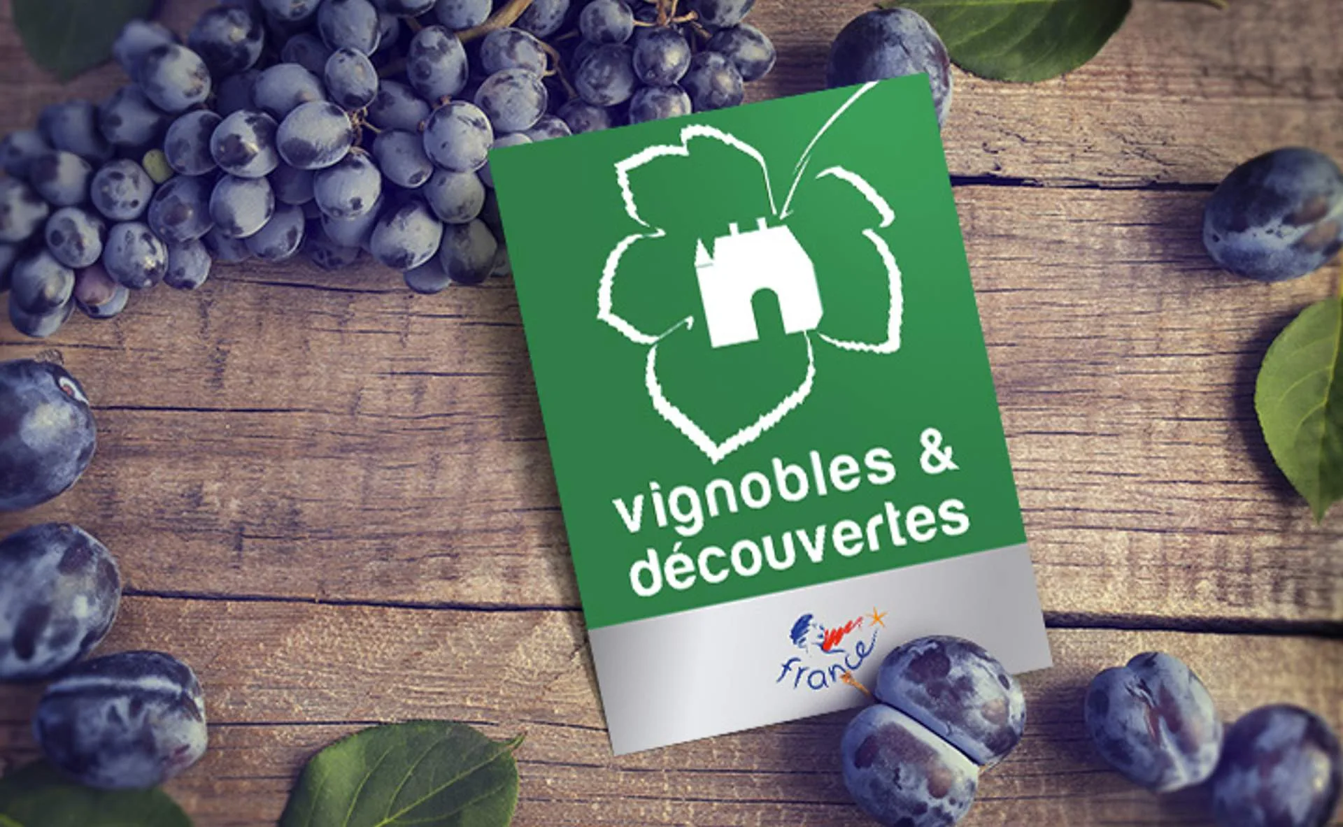 Label Vignobles et découvertes Bormes